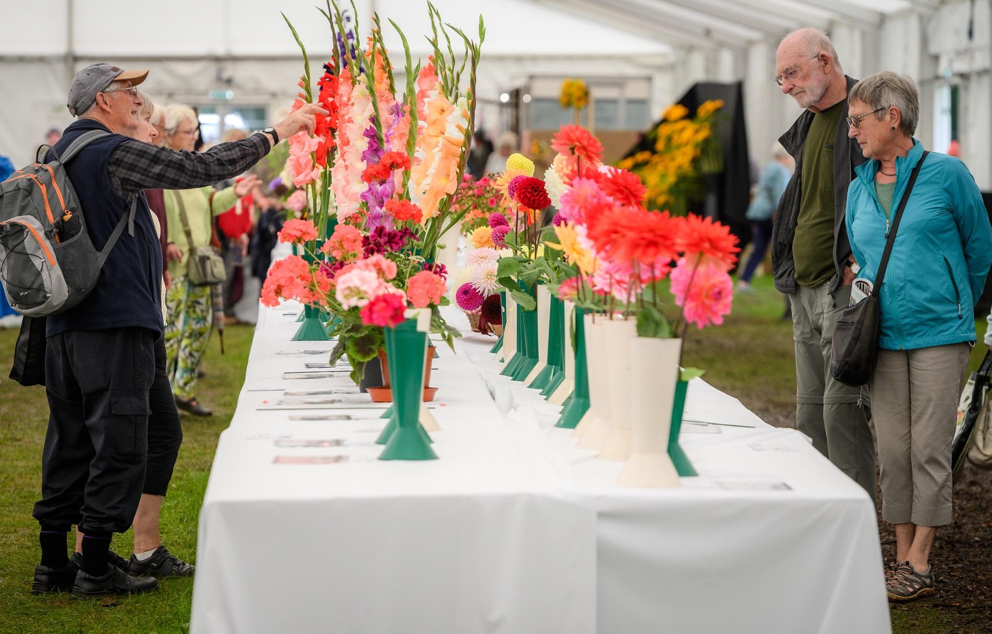 Competition entries on display at Chorley Flower Show